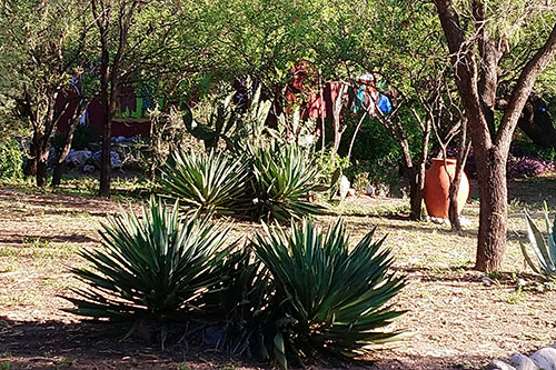 Cabañas en Traslasierra