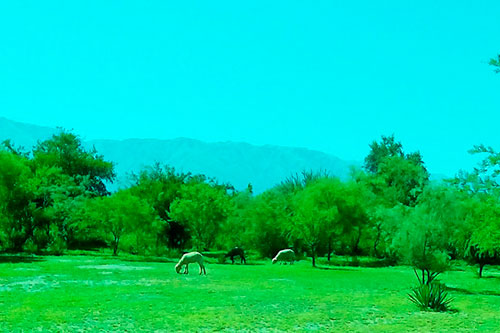 Cabañas en Traslasierra