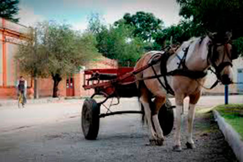 Cabañas en Traslasierra