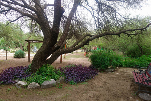 Cabañas en San Javier Traslasierra